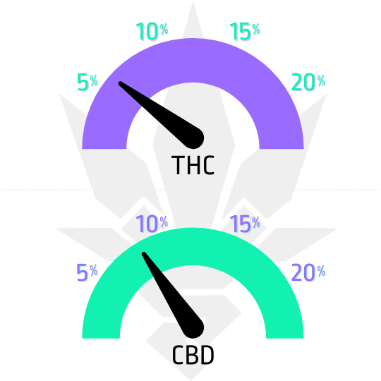 Semena konopí Special Medic CBD Cannapio ukazatel CBD a THC